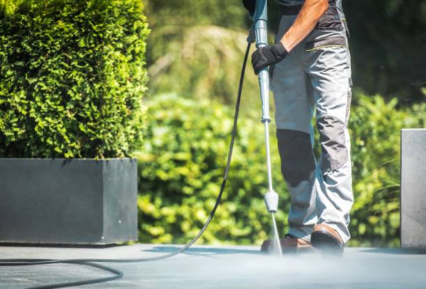 Best Restaurant Pressure Washing  in Wheaton, MN