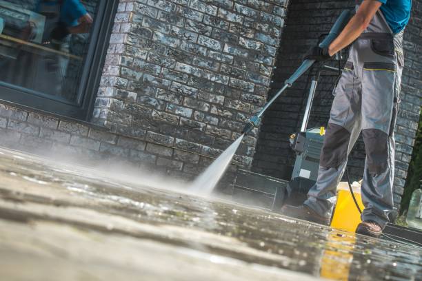 Best Pre-Holiday Cleaning  in Wheaton, MN