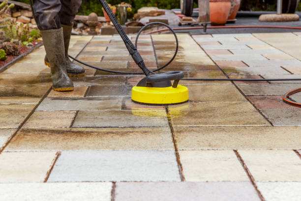 Best Solar Panel Cleaning  in Wheaton, MN